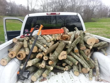 [Hearth.com] early morning maple harvest
