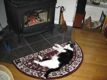 [Hearth.com] Got a beast of the hearth? Post some pics