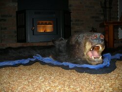 Pellet Stoves and Bear Rugs