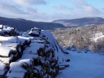 [Hearth.com] Hope you guys out east are hanging in there