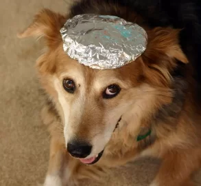 [Hearth.com] Anyone else's dog sit three inches from the stove?