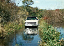 1996 beaver dam on Town road1.jpg