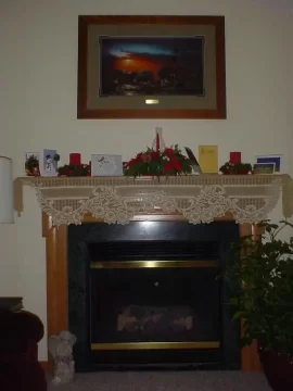 [Hearth.com] L.P. gas to wood