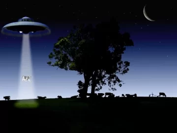 [Hearth.com] Where did that airplane go?