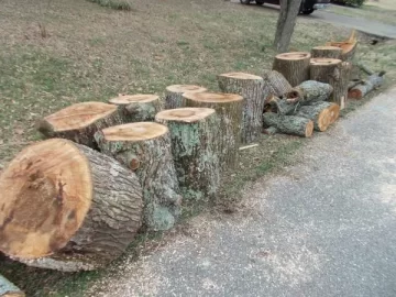 [Hearth.com] Sweet gum?