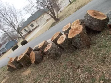 [Hearth.com] Sweet gum?