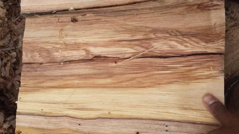 [Hearth.com] Wood ID