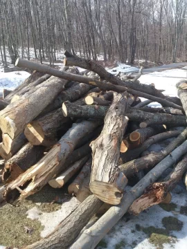 [Hearth.com] Just ordered a big load