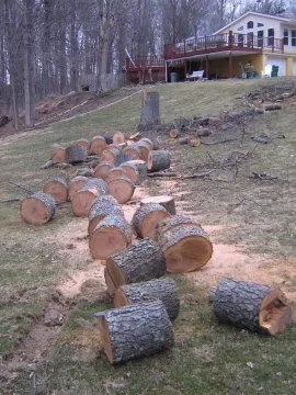 [Hearth.com] Cherry tree bucked