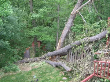 [Hearth.com] Cherry tree bucked