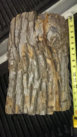 [Hearth.com] another wood id question