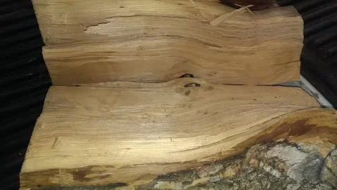 [Hearth.com] another wood id question