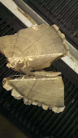 [Hearth.com] another wood id question