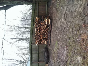 [Hearth.com] Silver maple