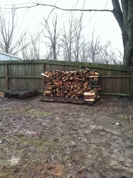 [Hearth.com] Silver maple