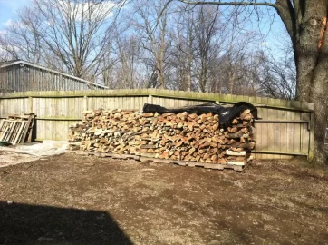 [Hearth.com] Silver maple
