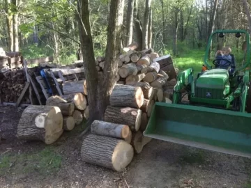 [Hearth.com] Deere x500 or rancher 420?