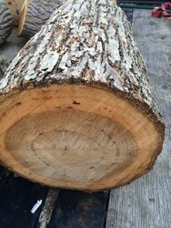 Yet another wood id