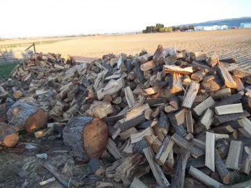 [Hearth.com] Did you replace what you burnt this year yet?