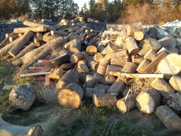 [Hearth.com] Did you replace what you burnt this year yet?