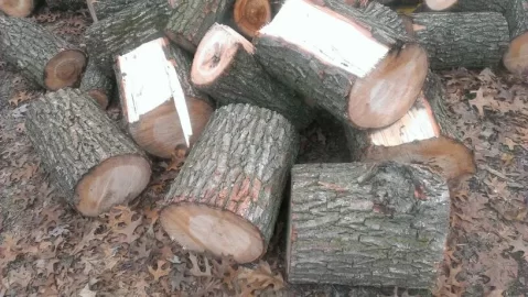 [Hearth.com] A wood ID please
