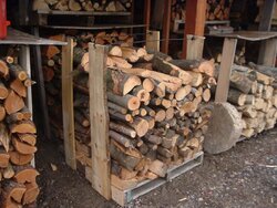 wood storage shelter20140414_03.JPG