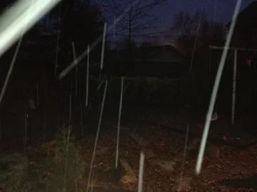 [Hearth.com] Yes that is snow coming down.