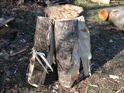 Free wood haul - Hardwood or softwood?