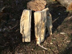 Free wood haul - Hardwood or softwood?