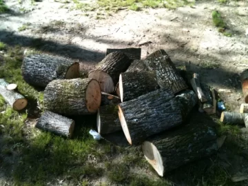 [Hearth.com] This little pile won't help my back any