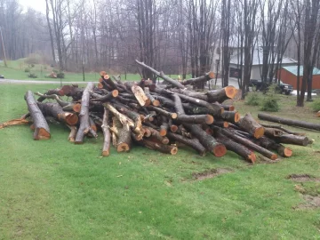 [Hearth.com] Just ordered a big load