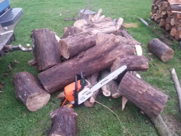 [Hearth.com] American Elm?