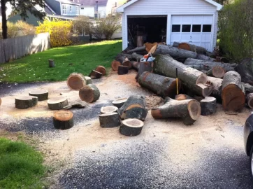 [Hearth.com] You buck this wood and I'll let you have some of it.