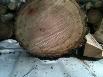 [Hearth.com] Need wood confirmation
