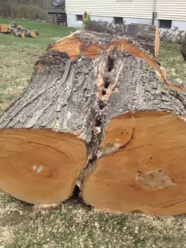 [Hearth.com] Had some maple's taken down