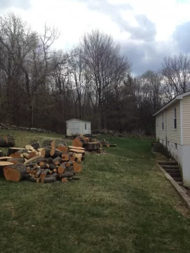[Hearth.com] Had some maple's taken down