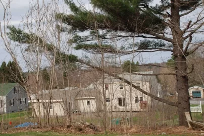 [Hearth.com] Any special considerations in removing this limb?