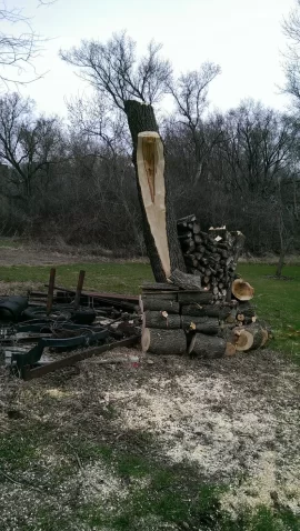 [Hearth.com] Any special considerations in removing this limb?