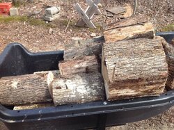 I finally got neighbors unused wood B4 it rots, ID help?