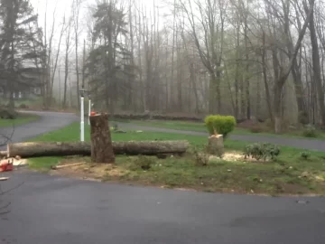 [Hearth.com] I am doing the math and this makes sense.