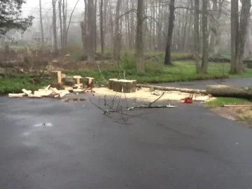 [Hearth.com] I am doing the math and this makes sense.