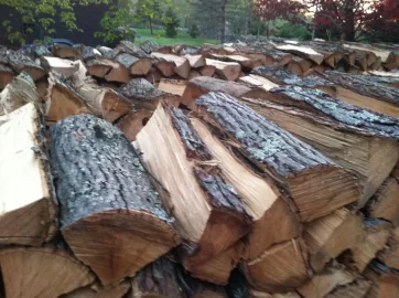 [Hearth.com] 2014-2015 and 2015-2016 Firewood