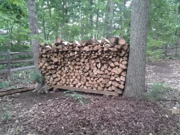 [Hearth.com] scored some red oak