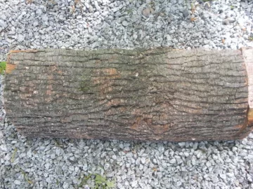 [Hearth.com] Can you ID this wood please.