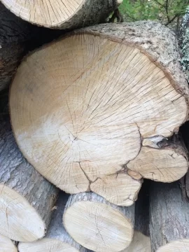[Hearth.com] Wood ID