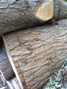 [Hearth.com] Wood ID
