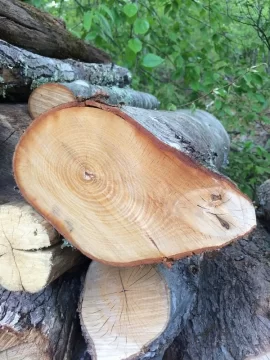 [Hearth.com] Wood ID