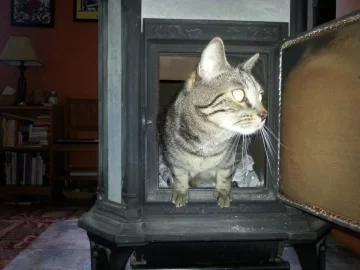 [Hearth.com] We Just Ran Out Of Seasoned Wood