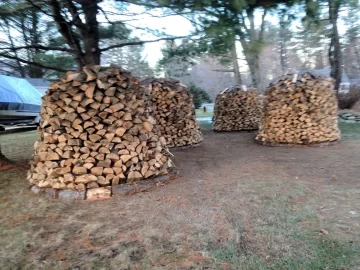 [Hearth.com] Holz Hausen - Goot, or bad?