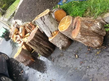 [Hearth.com] Cord Estimate
